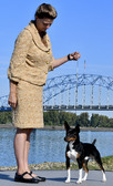 Enlarge photo 15