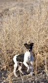 Enlarge photo 17