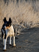 Enlarge photo 31