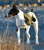 Enlarge photo 13