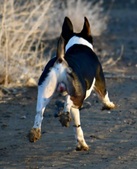 Enlarge photo 28