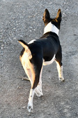 Enlarge photo 12