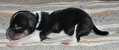 Enlarge photo 28
