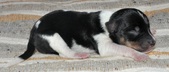 Enlarge photo 25