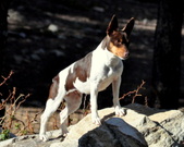 Enlarge photo 30
