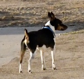Enlarge photo 8