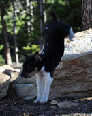 Enlarge photo 15