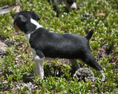 Enlarge photo 12