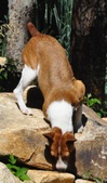 Enlarge photo 19