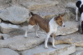 Enlarge photo 26