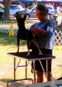 Enlarge photo 41