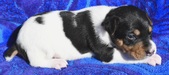 Enlarge photo 27