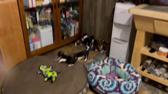 Enlarge MOV 12