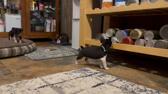 Enlarge MOV 13