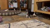 Enlarge MOV 6