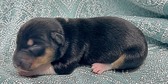 Enlarge photo 15