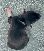 Enlarge photo 14