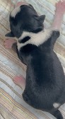 Enlarge photo 19