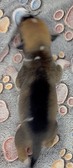 Enlarge photo 44