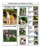 Enlarge Microsoft Word Document 43