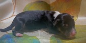 Enlarge photo 34