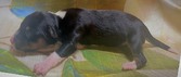 Enlarge photo 37