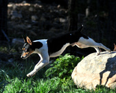 Enlarge photo 18