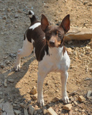 Enlarge photo 41