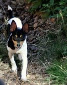 Enlarge photo 14