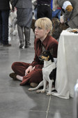 Enlarge photo 37