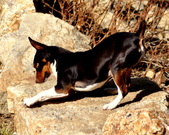 Enlarge photo 1