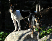 Enlarge photo 13
