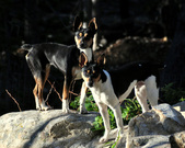 Enlarge photo 14