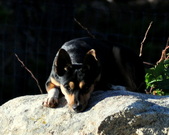Enlarge photo 15