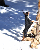 Enlarge photo 27