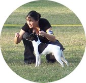 Enlarge photo 18