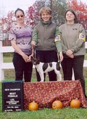 Enlarge photo 26