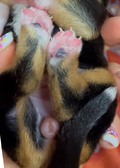 Enlarge photo 11