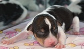 Enlarge photo 22