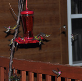 Enlarge photo 20