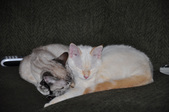 Enlarge photo 12