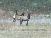 Enlarge photo 40