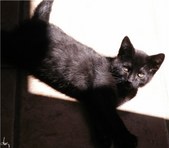 Enlarge photo 56