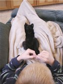 Enlarge photo 57