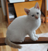 Enlarge photo 23