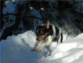 Enlarge photo 27