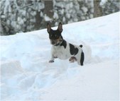 Enlarge photo 28