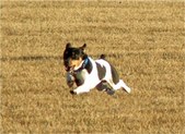 Enlarge photo 17