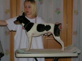 Enlarge photo 22