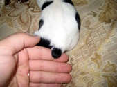 Enlarge photo 14